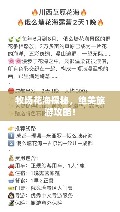 牧场花海探秘，绝美旅游攻略！