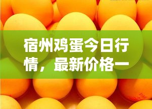 宿州鸡蛋今日行情，最新价格一网打尽！