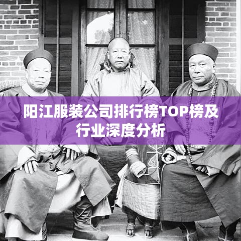 阳江服装公司排行榜TOP榜及行业深度分析
