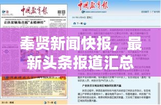 奉贤新闻快报，最新头条报道汇总