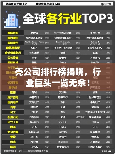 壳公司排行榜揭晓，行业巨头一览无余！