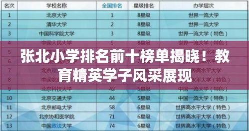 张北小学排名前十榜单揭晓！教育精英学子风采展现