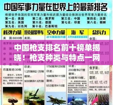中国枪支排名前十榜单揭晓！枪支种类与特点一网打尽