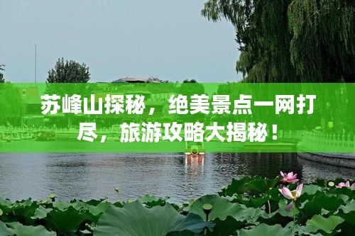 苏峰山探秘，绝美景点一网打尽，旅游攻略大揭秘！