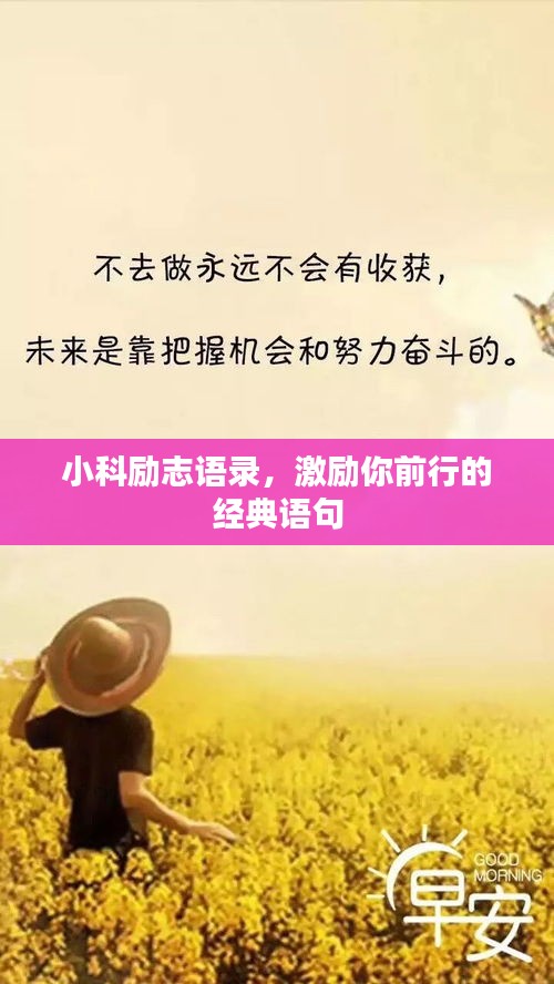 小科励志语录，激励你前行的经典语句