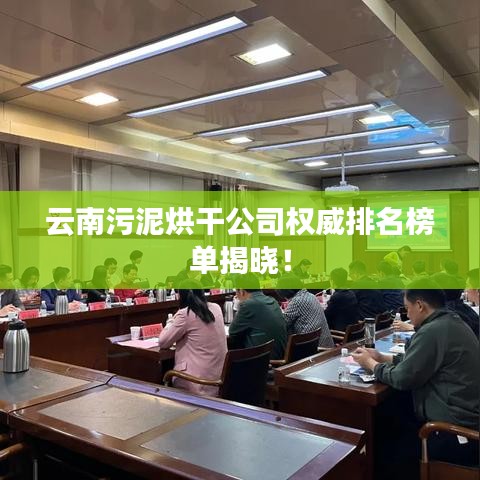 云南污泥烘干公司权威排名榜单揭晓！