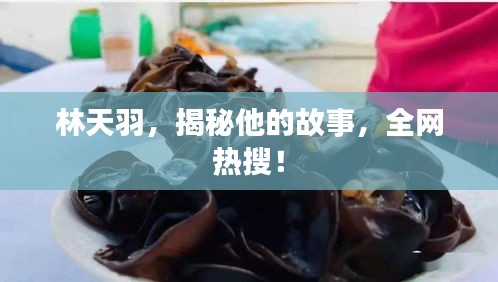 林天羽，揭秘他的故事，全网热搜！