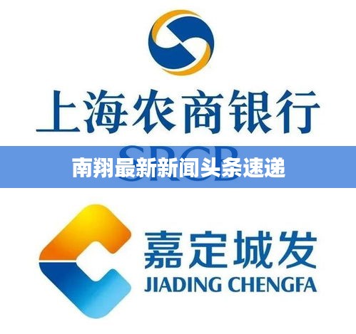 南翔最新新闻头条速递