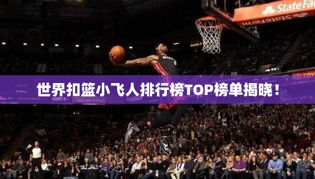 世界扣篮小飞人排行榜TOP榜单揭晓！