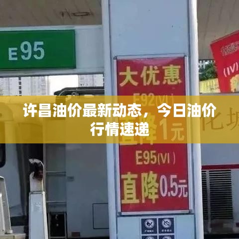 许昌油价最新动态，今日油价行情速递