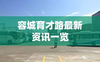 容城育才路最新资讯一览