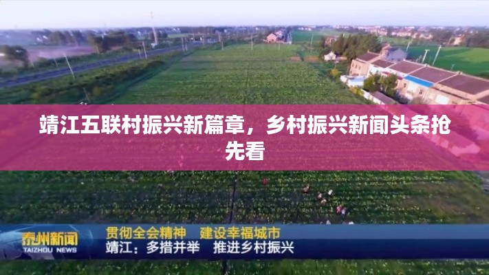 靖江五联村振兴新篇章，乡村振兴新闻头条抢先看