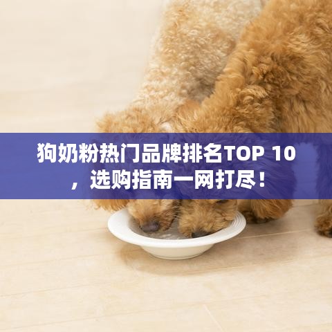 狗奶粉热门品牌排名TOP 10，选购指南一网打尽！