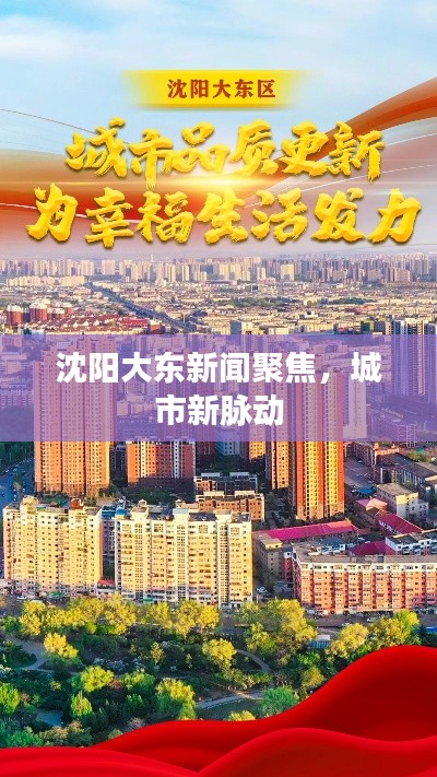 沈阳大东新闻聚焦，城市新脉动