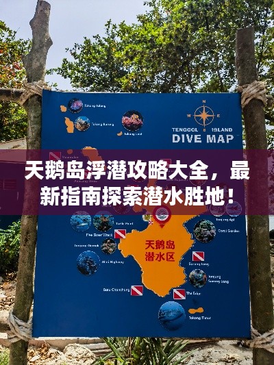 天鹅岛浮潜攻略大全，最新指南探索潜水胜地！