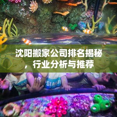 沈阳搬家公司排名揭秘，行业分析与推荐