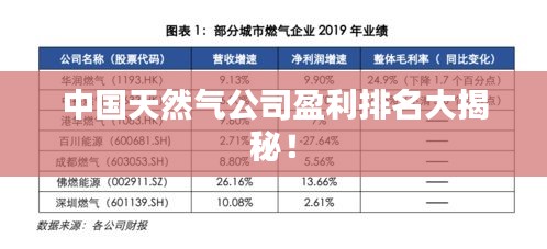 中国天然气公司盈利排名大揭秘！