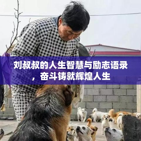 刘叔叔的人生智慧与励志语录，奋斗铸就辉煌人生