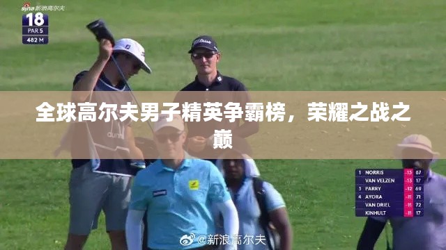 全球高尔夫男子精英争霸榜，荣耀之战之巅