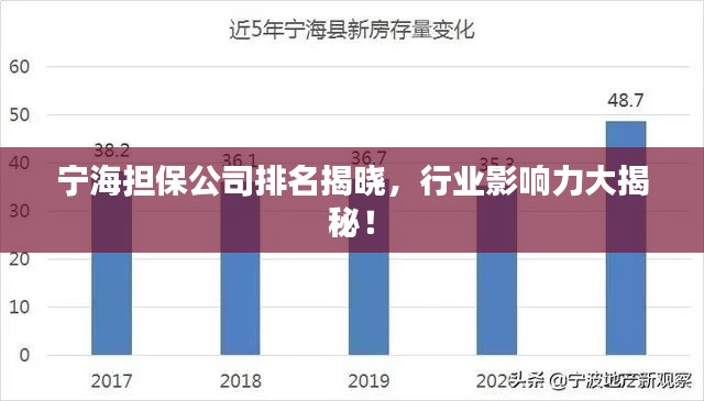 宁海担保公司排名揭晓，行业影响力大揭秘！