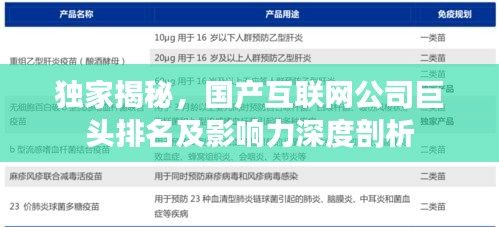 独家揭秘，国产互联网公司巨头排名及影响力深度剖析