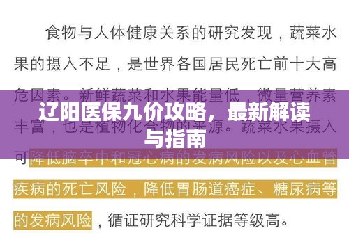 辽阳医保九价攻略，最新解读与指南