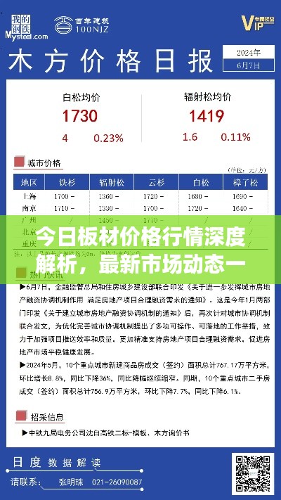 今日板材价格行情深度解析，最新市场动态一网打尽！
