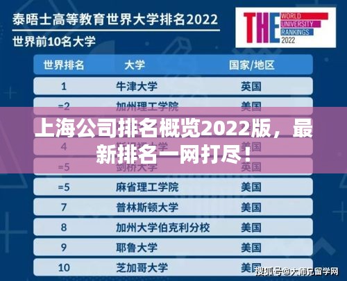上海公司排名概览2022版，最新排名一网打尽！
