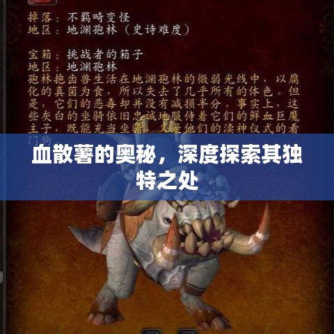 血散薯的奥秘，深度探索其独特之处
