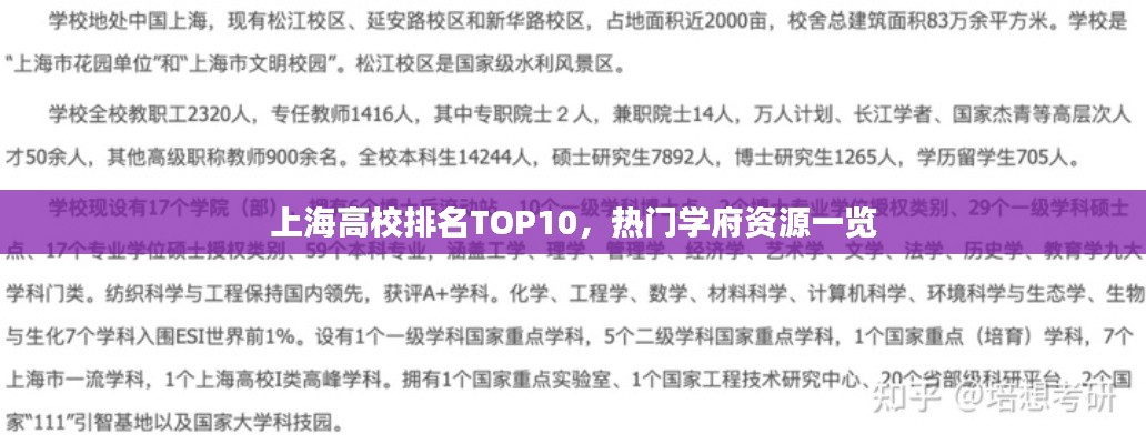 上海高校排名TOP10，热门学府资源一览