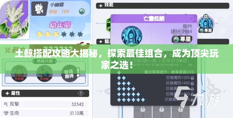 土鲸搭配攻略大揭秘，探索最佳组合，成为顶尖玩家之选！