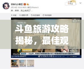 斗鱼旅游攻略揭秘，最佳观赏与体验之旅一网打尽！