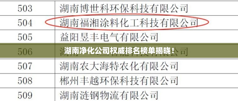湖南净化公司权威排名榜单揭晓！