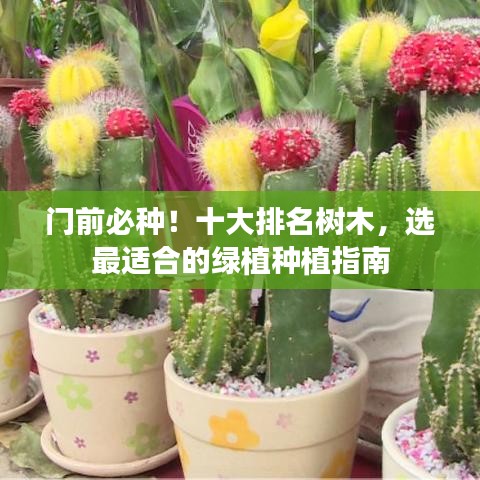 门前必种！十大排名树木，选最适合的绿植种植指南