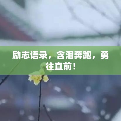 励志语录，含泪奔跑，勇往直前！