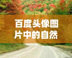 百度头像图片中的自然魅力，风景之美的深度探索