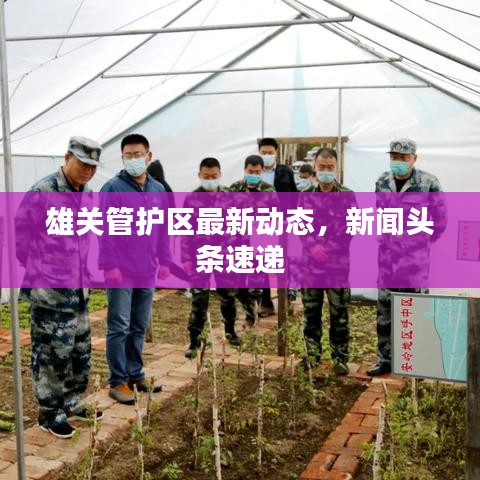 雄关管护区最新动态，新闻头条速递