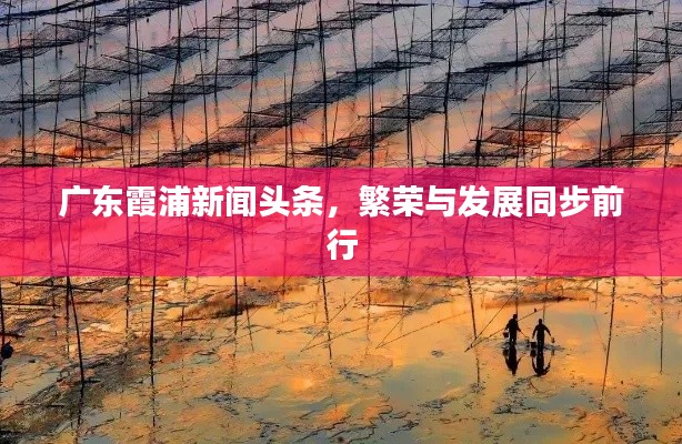 广东霞浦新闻头条，繁荣与发展同步前行