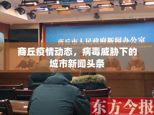 商丘疫情动态，病毒威胁下的城市新闻头条