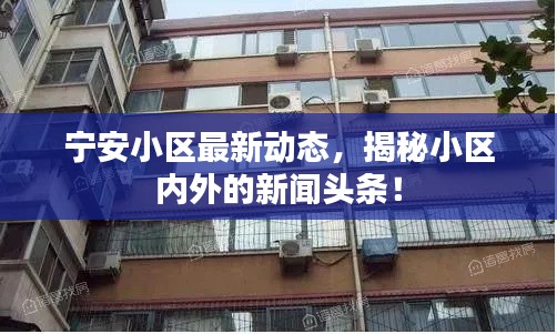 宁安小区最新动态，揭秘小区内外的新闻头条！