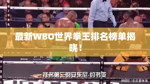最新WBO世界拳王排名榜单揭晓！