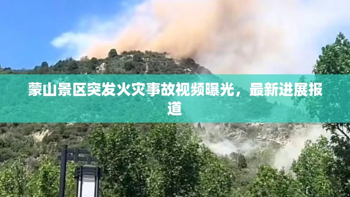 蒙山景区突发火灾事故视频曝光，最新进展报道