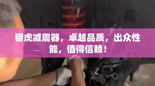 猎虎减震器，卓越品质，出众性能，值得信赖！