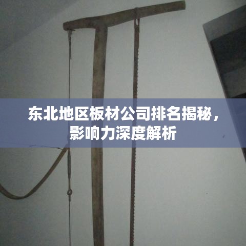 东北地区板材公司排名揭秘，影响力深度解析