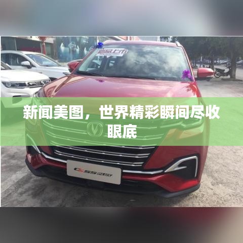 新闻美图，世界精彩瞬间尽收眼底