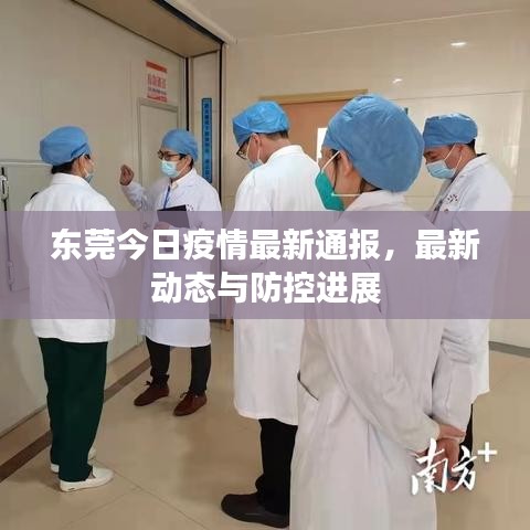 东莞今日疫情最新通报，最新动态与防控进展