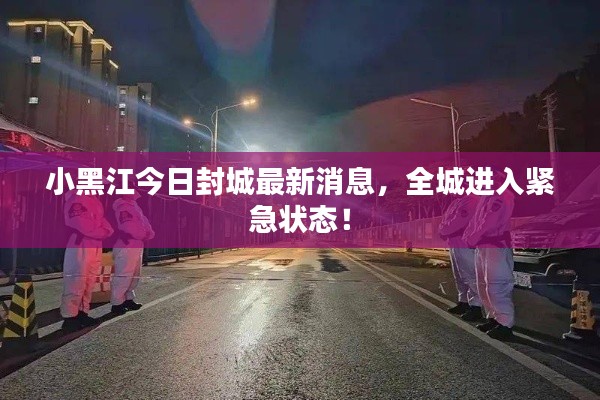 小黑江今日封城最新消息，全城进入紧急状态！