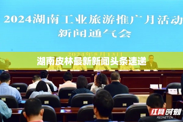 湖南皮林最新新闻头条速递
