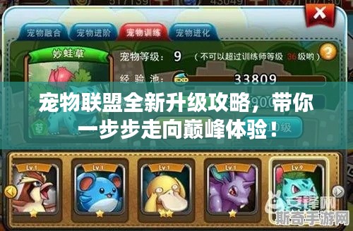 宠物联盟全新升级攻略，带你一步步走向巅峰体验！