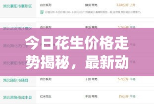 今日花生价格走势揭秘，最新动态、市场趋势及影响因素深度解析